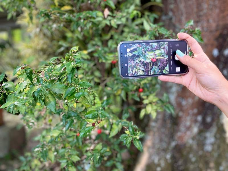 curso_fotografia_a-la_mano